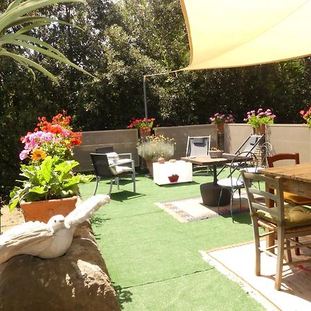 Helichrysum Bed & Breakfast Vinci Exterior photo