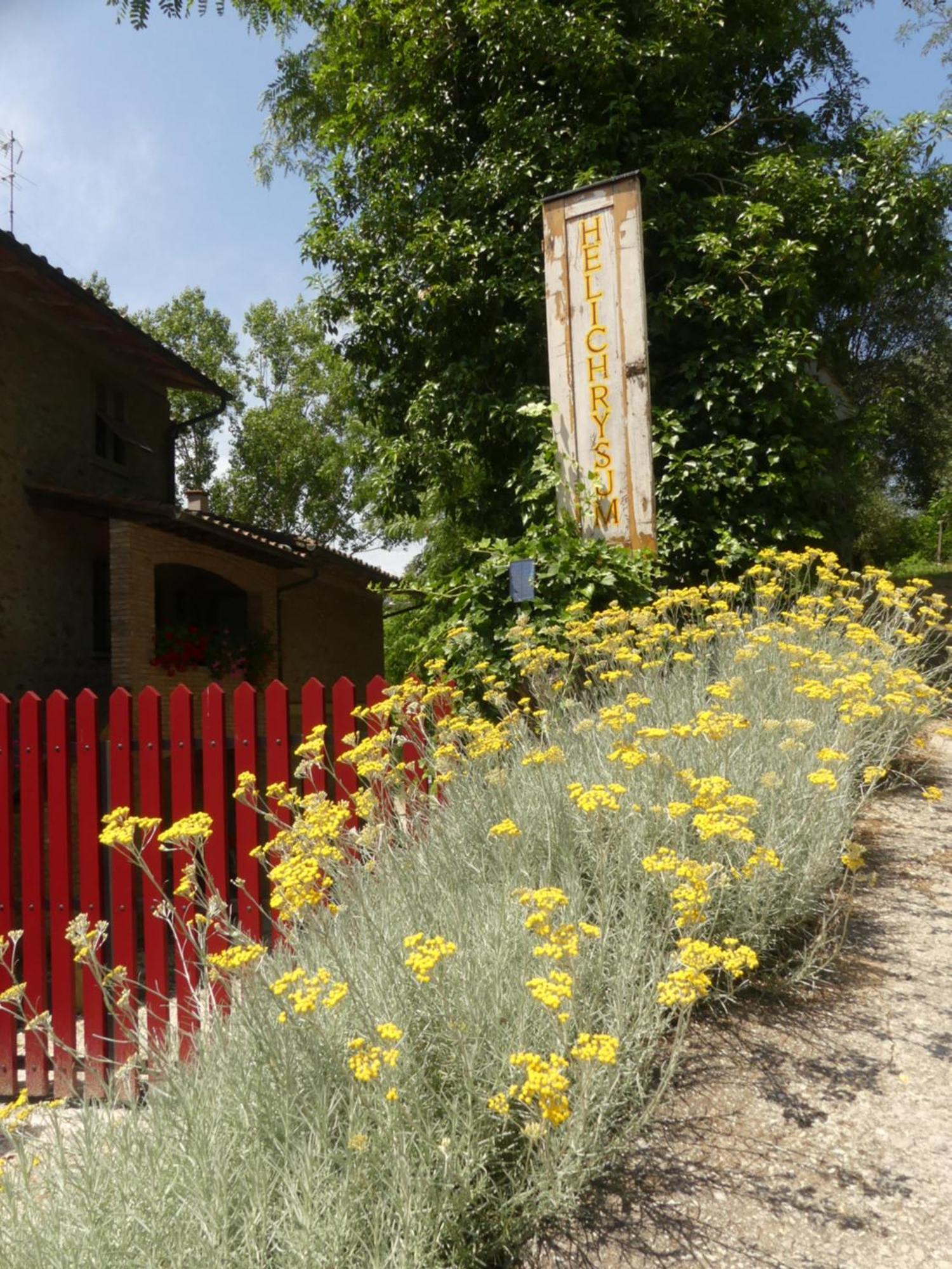 Helichrysum Bed & Breakfast Vinci Exterior photo